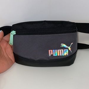 Grey Puma Clasp Belt/Waist Zip Mini Bag